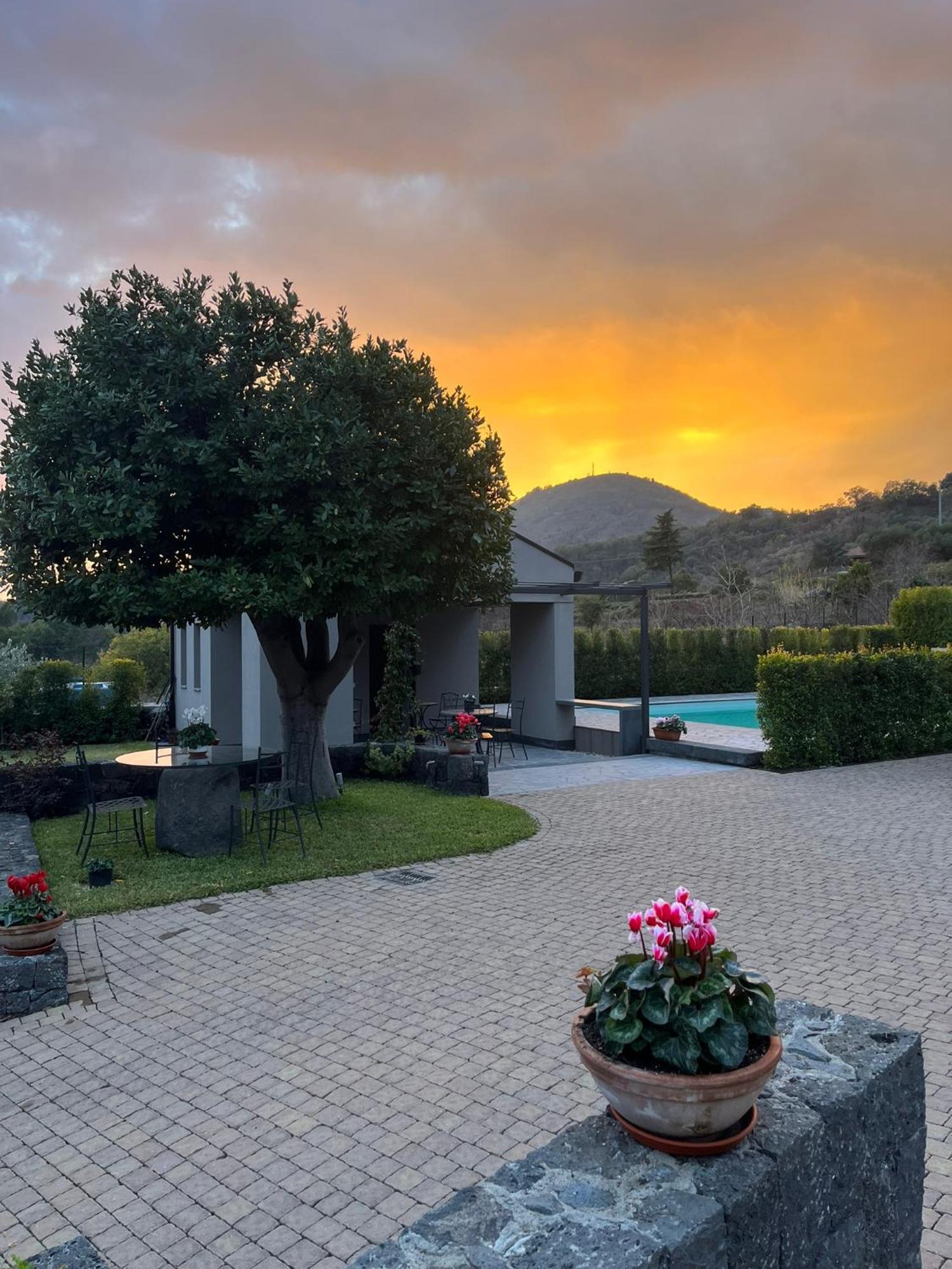 La Casa Dell'Alloro Zafferana Etnea Εξωτερικό φωτογραφία