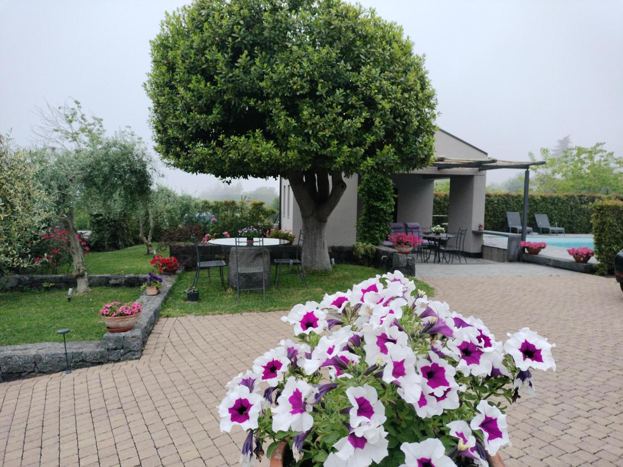 La Casa Dell'Alloro Zafferana Etnea Εξωτερικό φωτογραφία